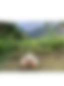Zen Oaezis in Sacred Valley - Photo 3