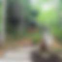 Misty Mountain Lodge & Cabin - Main photo