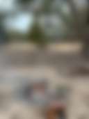 Stringybark Camp - Photo 3