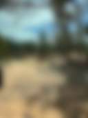 Stringybark Camp