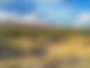 Vista De Las Montañas Terlingua