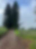 Barrine Farmstay And Camping