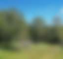 Yabba Creek Farm