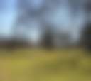 VERNON RICHARDS RIVERBEND PARK - Photo 2