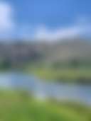 The Gold Links Ranch - Photo 2