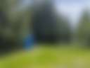 Stoey’s Alpaca Farm - Photo 3