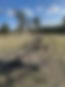 Single RV Site Close To Custer - Photo 3