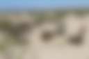 White Sands Camp - Photo 2