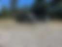 Foxglove Family Farm