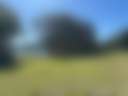 Burtons Riverside Campgrounds