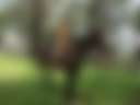 Nature’s Retreat - Photo 3