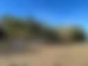 Horseshoe Hideaway - Photo 2