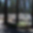 Chris Haven RV And MH Park - Photo 2