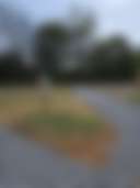 Harmony Mountain Christian RV Park - Photo 3