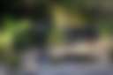 The Retreat At Boxwood Gardens - Photo 2