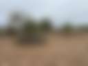 3Acre Desert RV Camp W/ 5’ Fence - Photo 2