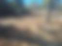 MW-Outdoors - Photo 3