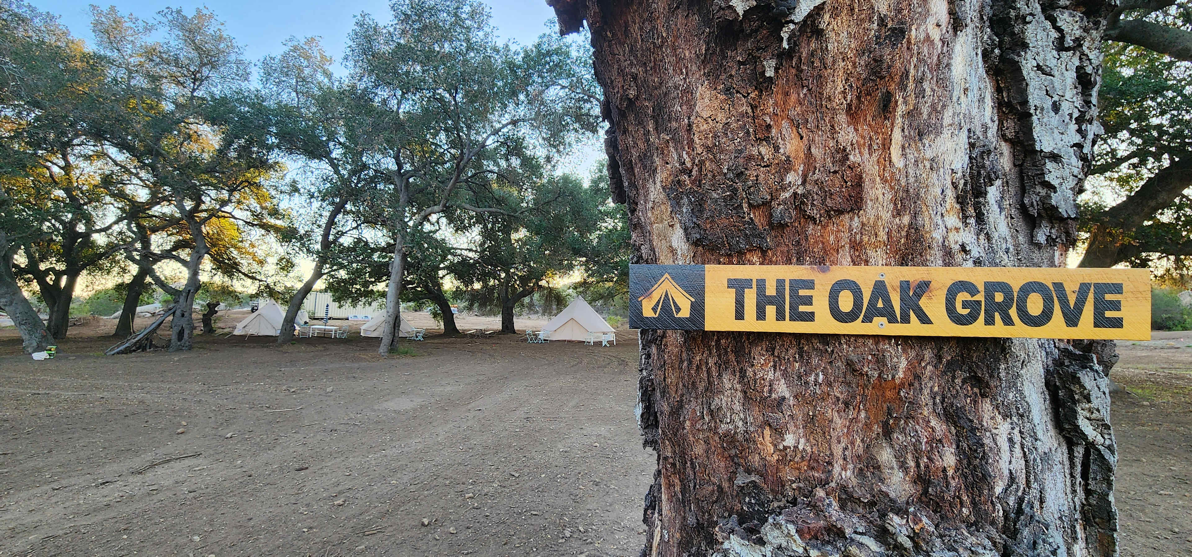 Tents beneath mature oak trees at Splitrock Oak Grove