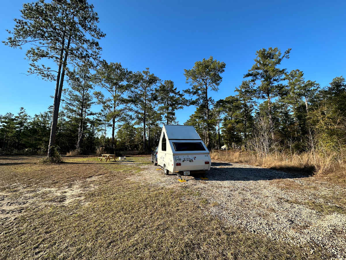 Primitive tent site under shady pines