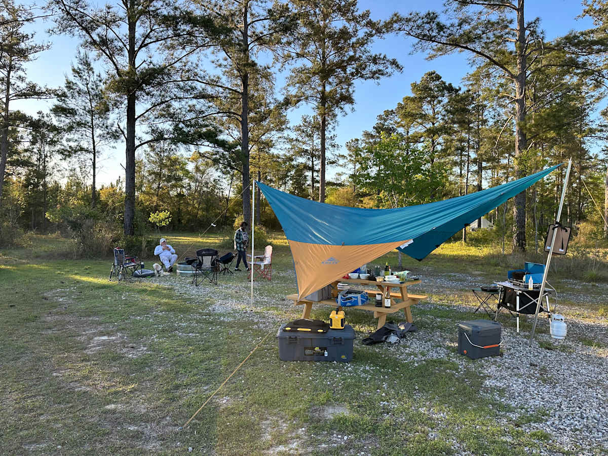 RV site with hookups beside a pine stand
