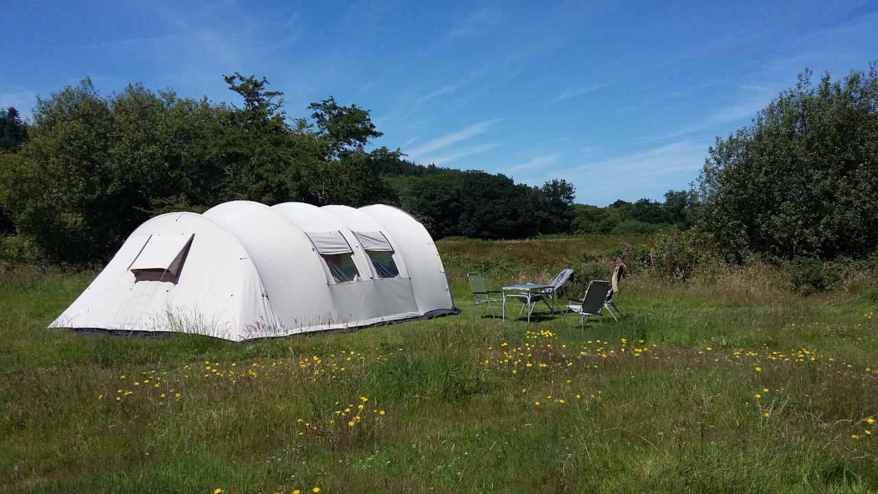 Grass Tent Pitch