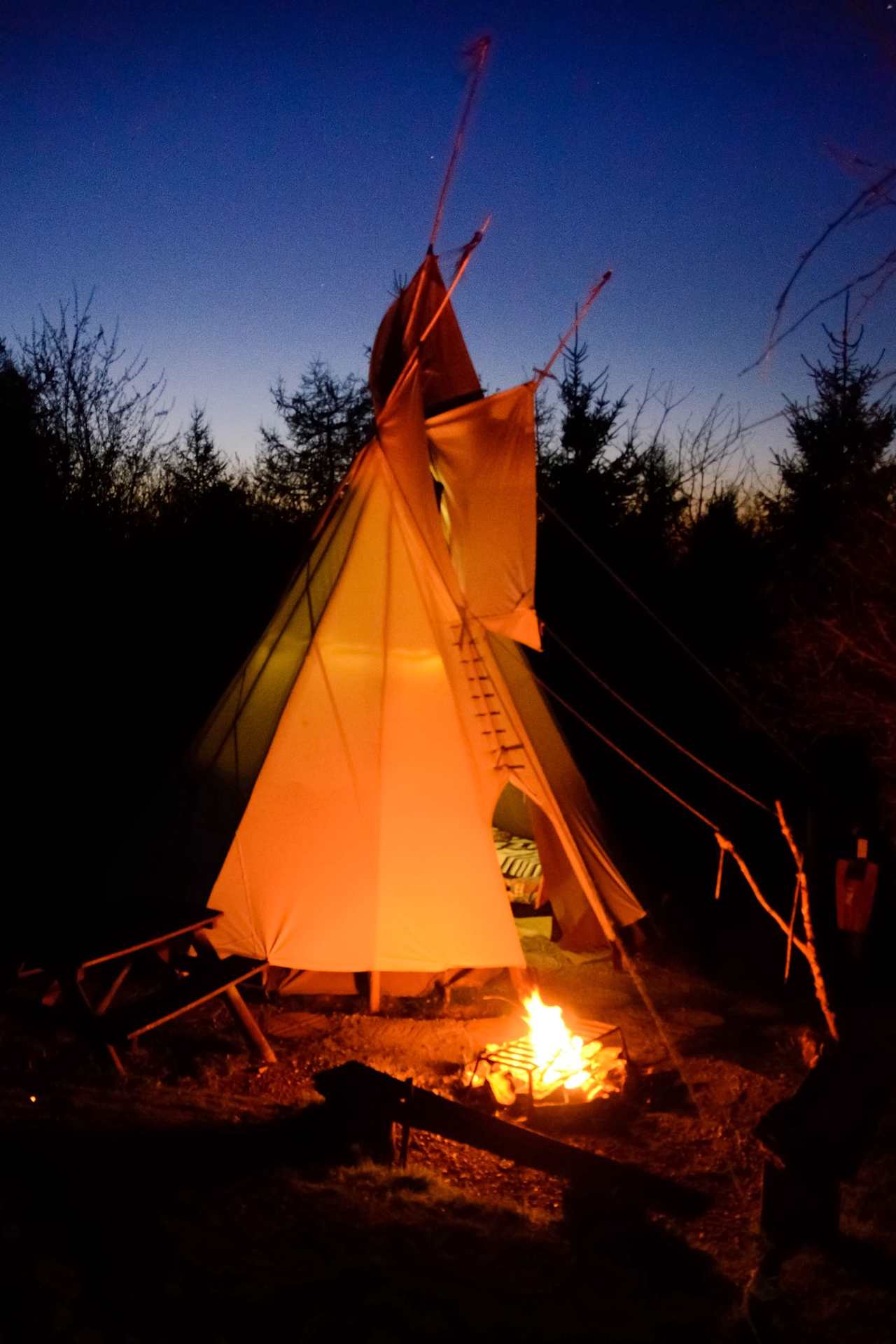 Tipi