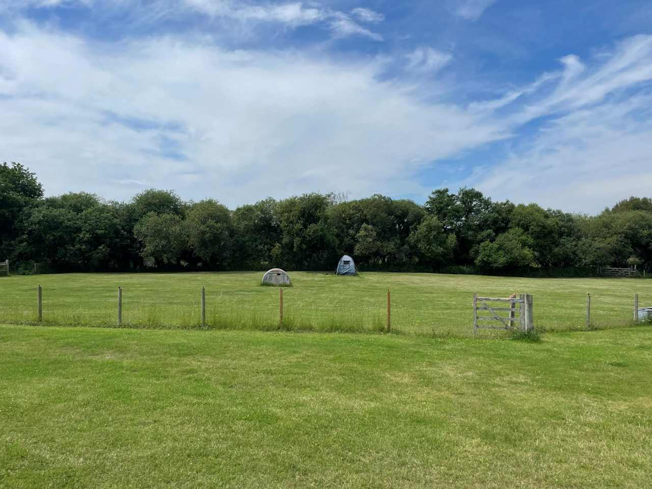 Grass Pitch