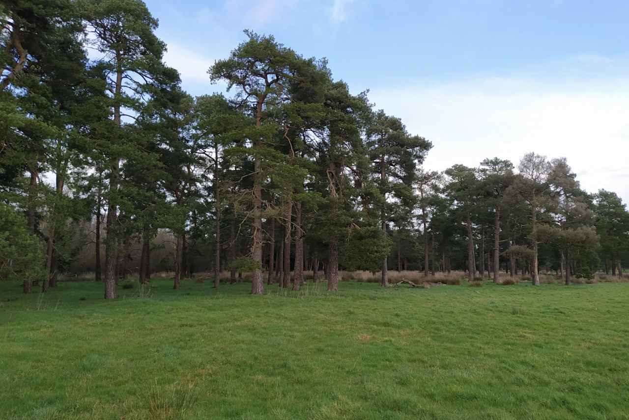 Shelley Oaks Farm