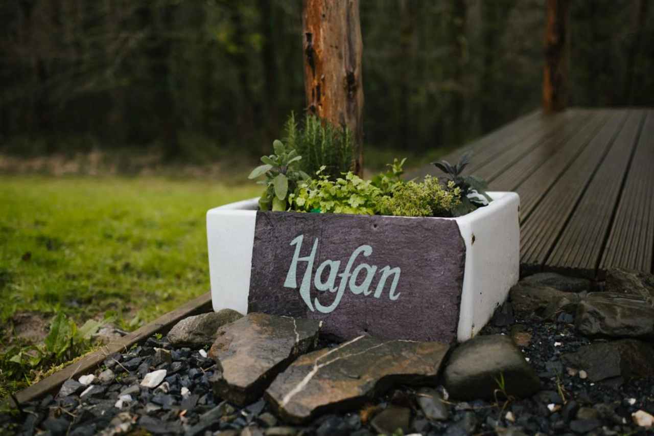 Hafan