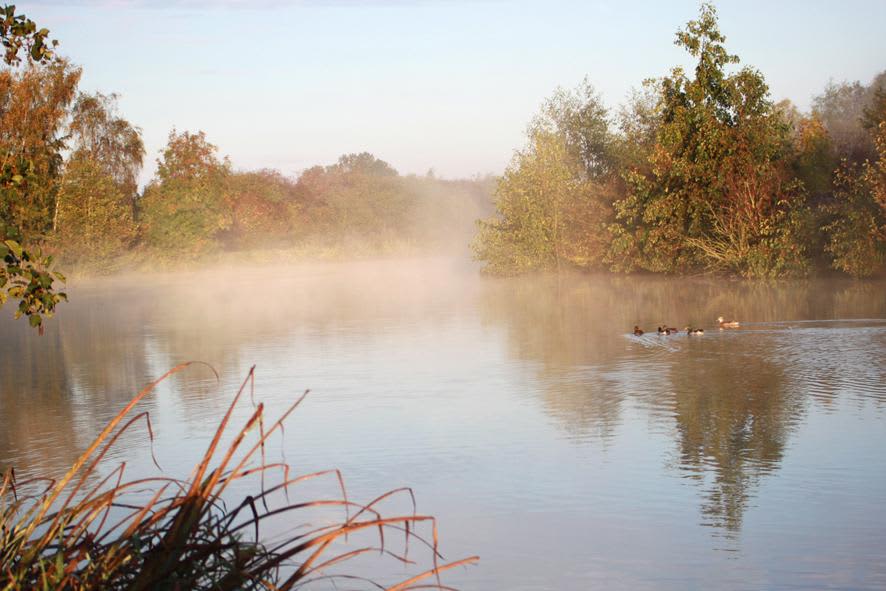 Brook Meadow