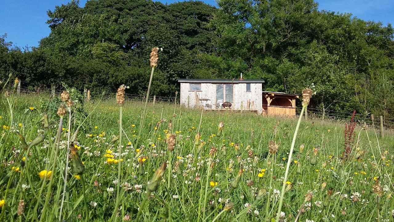 Tiny Home Experience