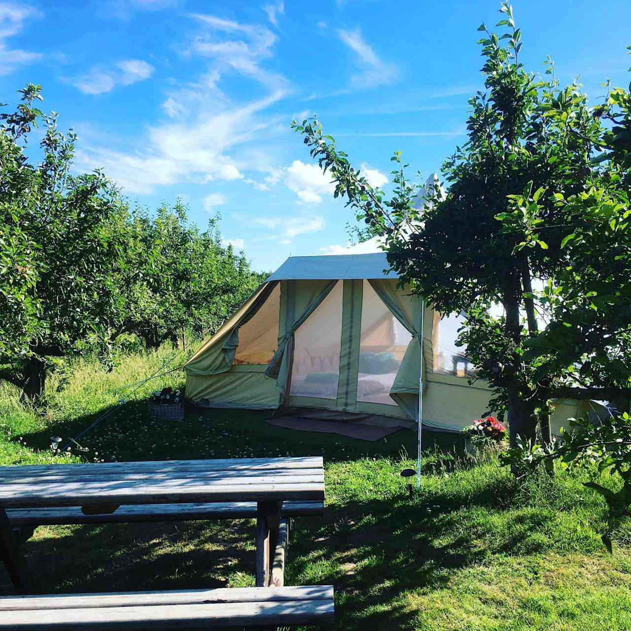 The Apple Farm