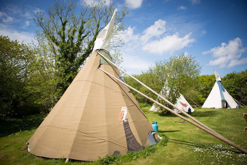 Large Tipi 10 - Village Field