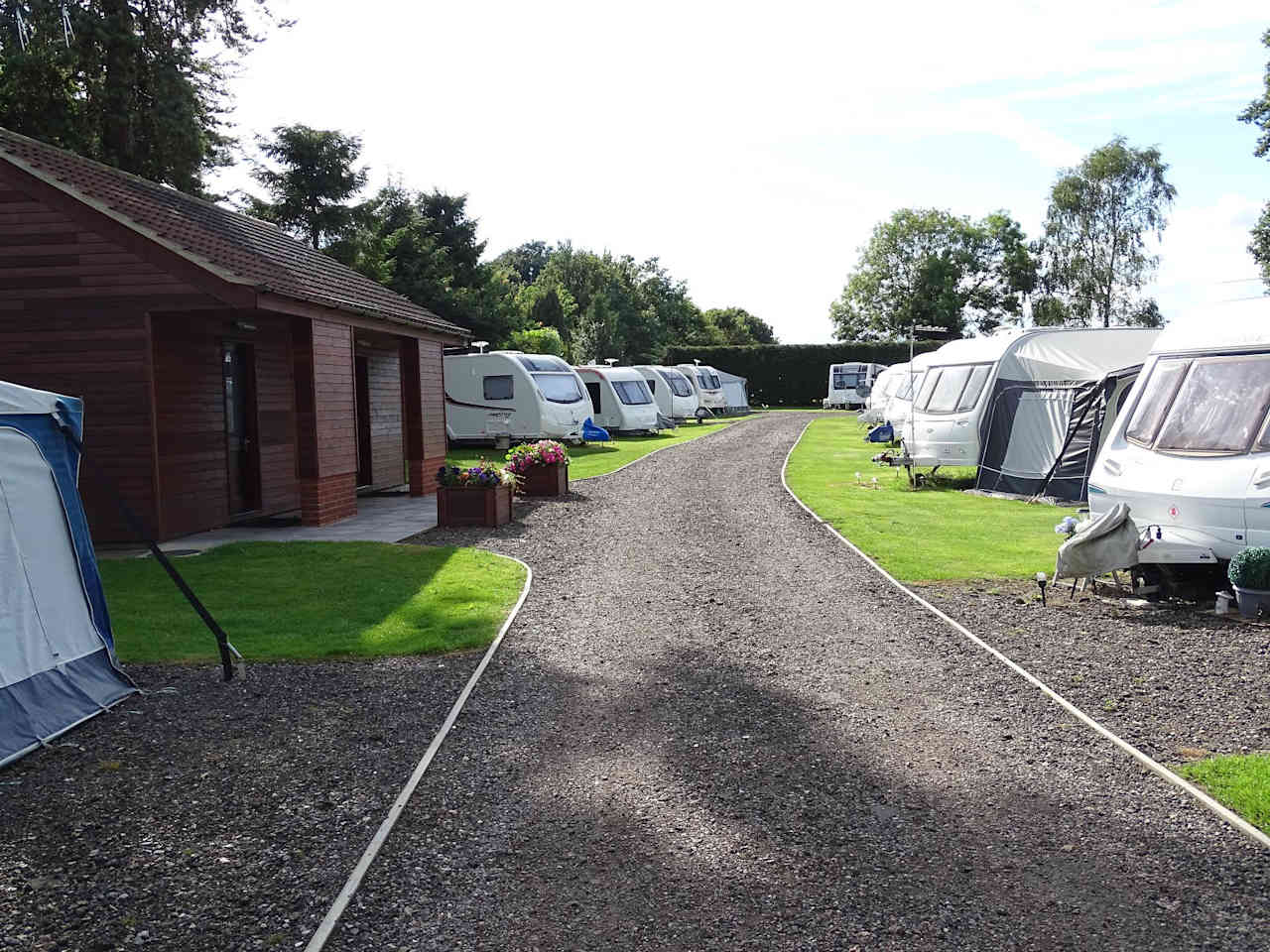 Tent Pitch (electric optional)