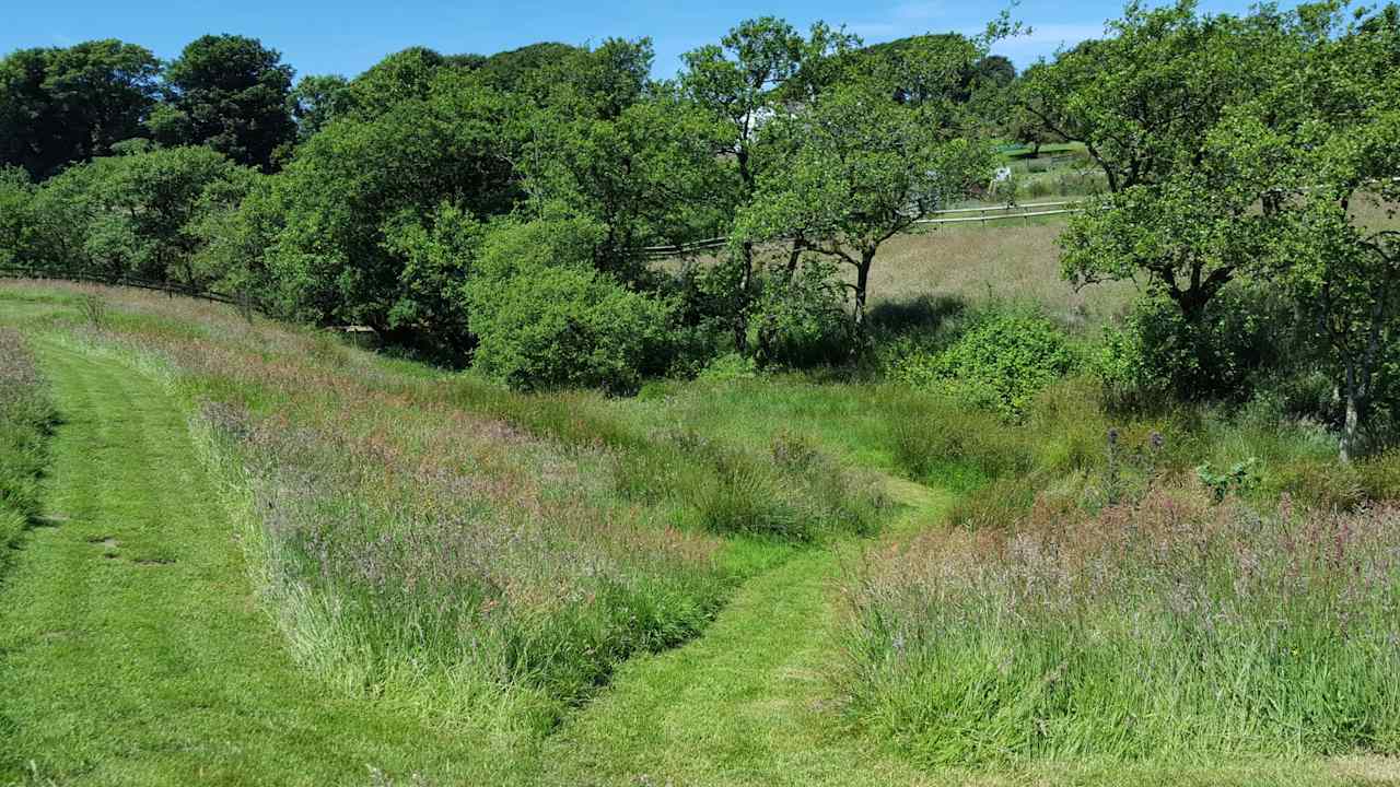 Grass pitch