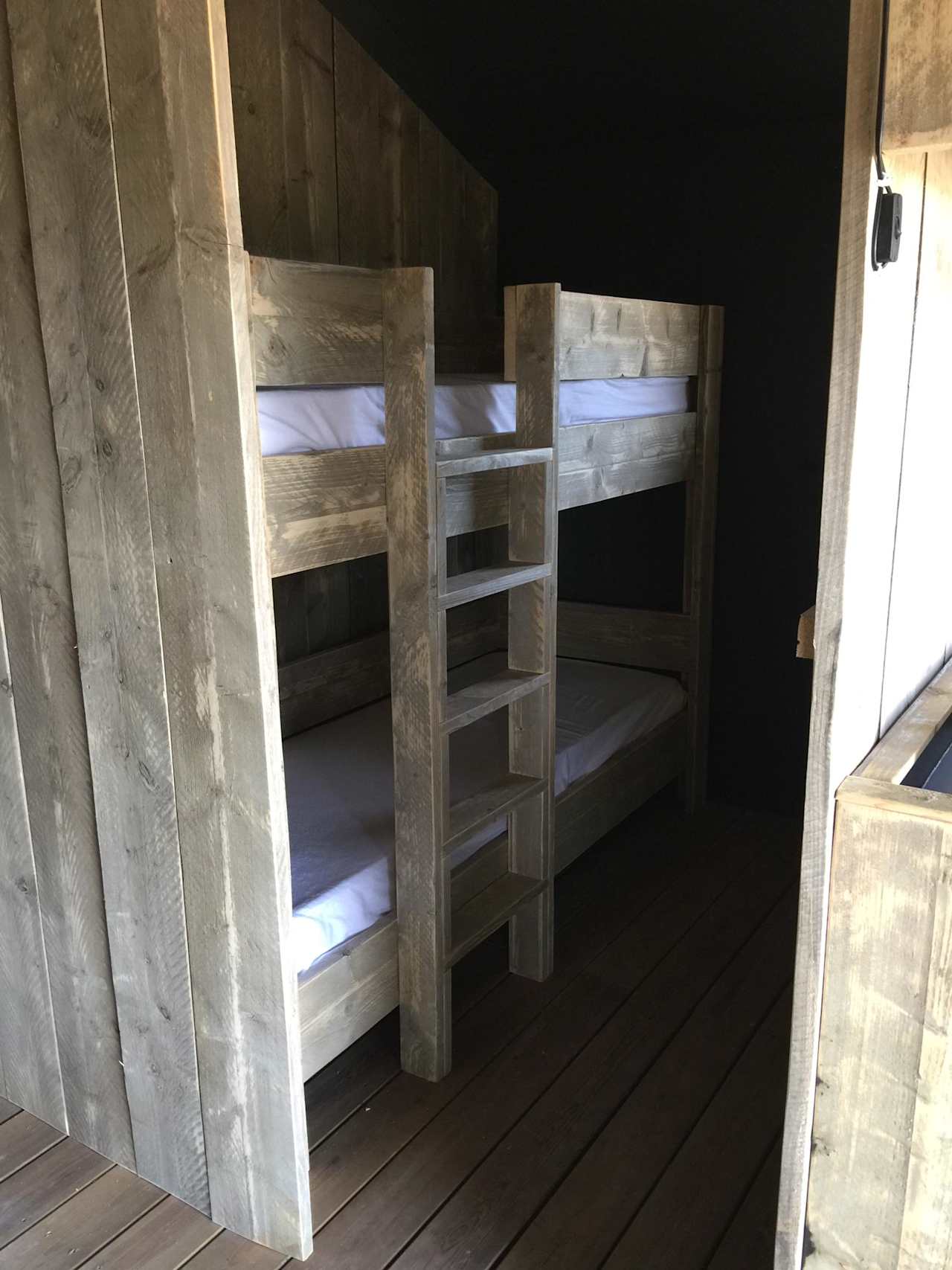 Safari Tent