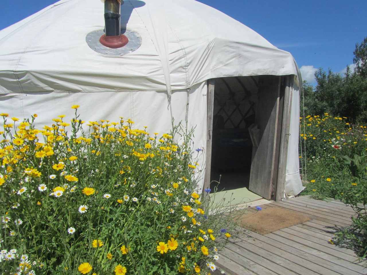 Yurt