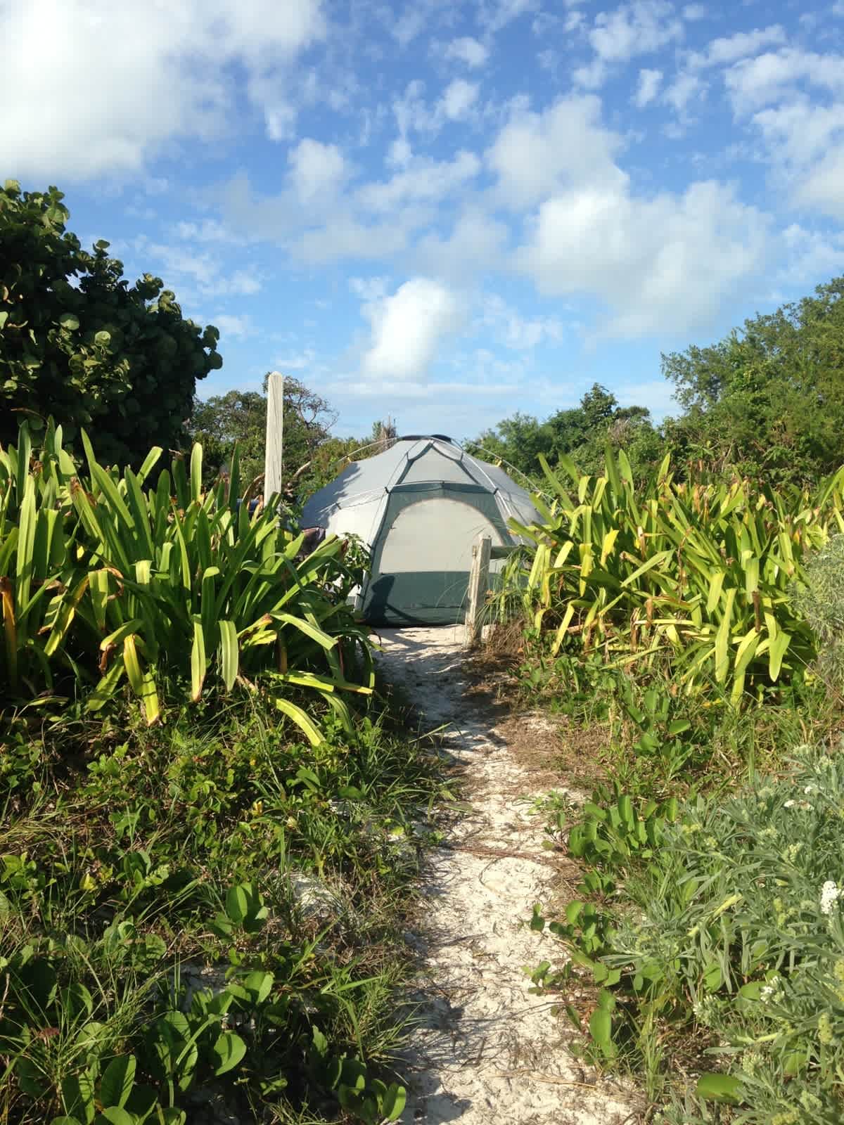 Sandspur Campground