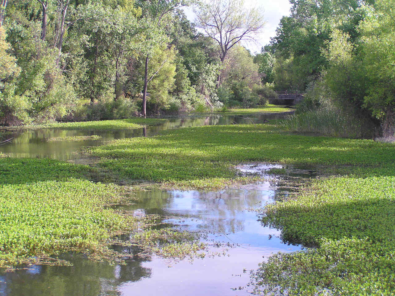 Group Camping Area