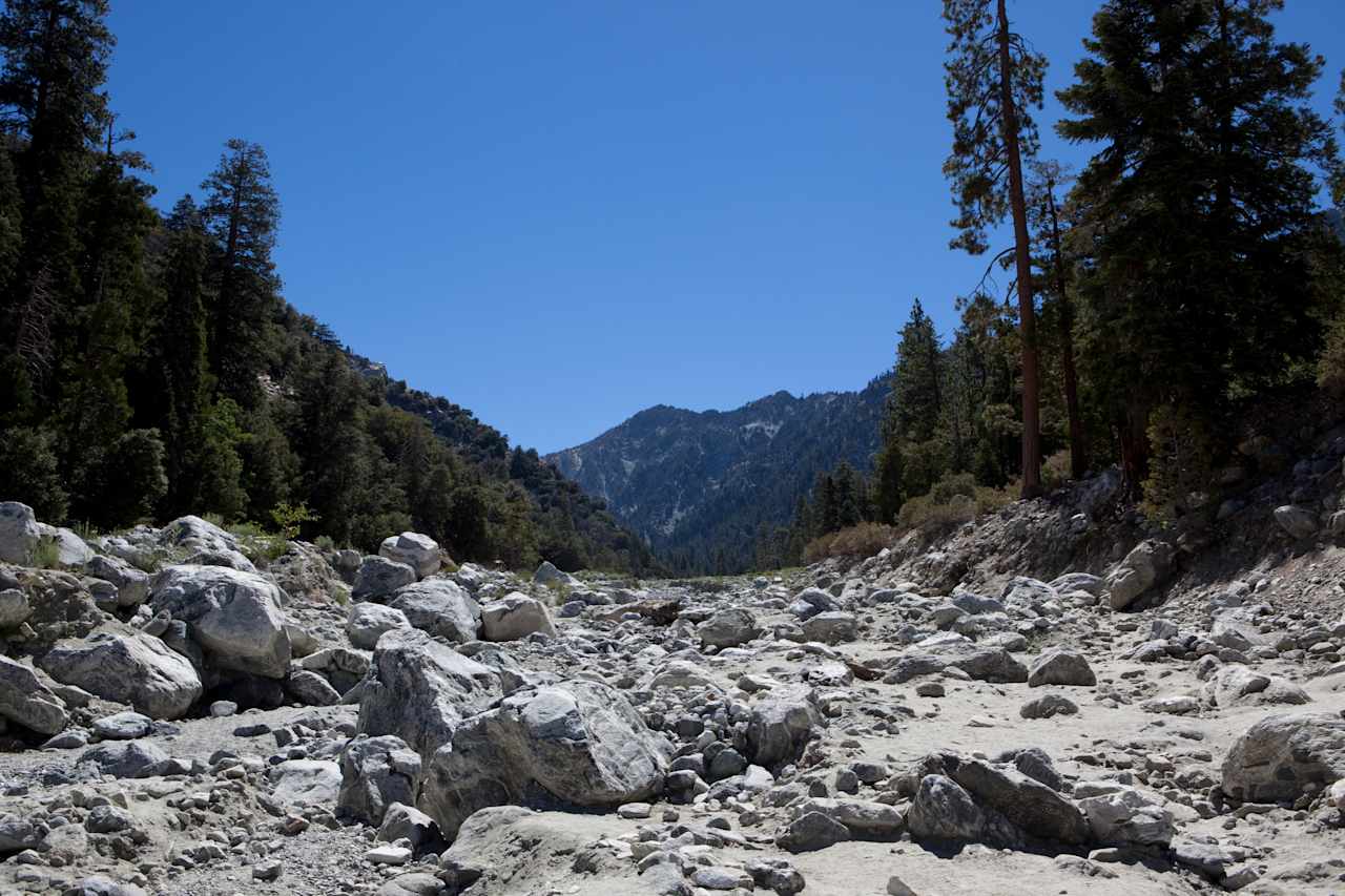 Coon Creek Yellow Post Sites