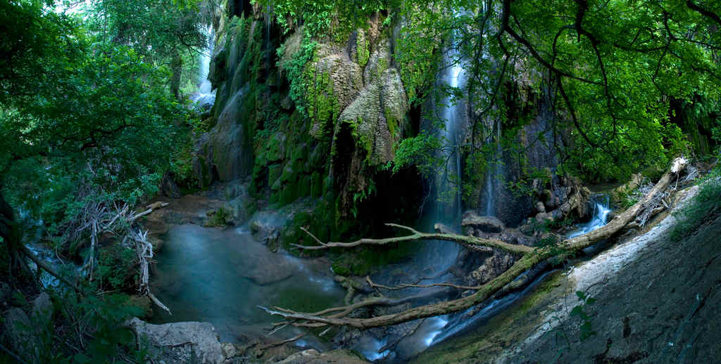 Live Oak Group Campground