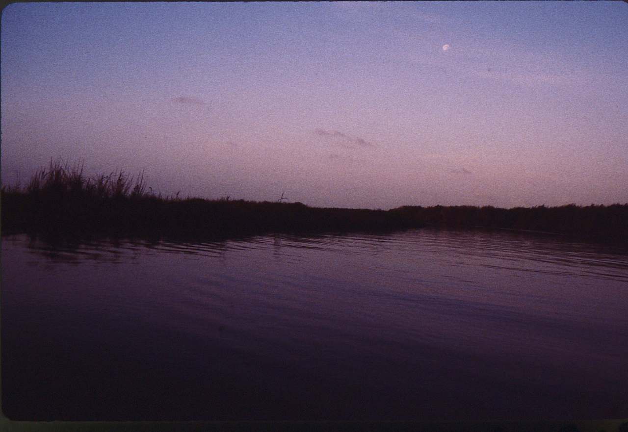 Piping Plover Campground