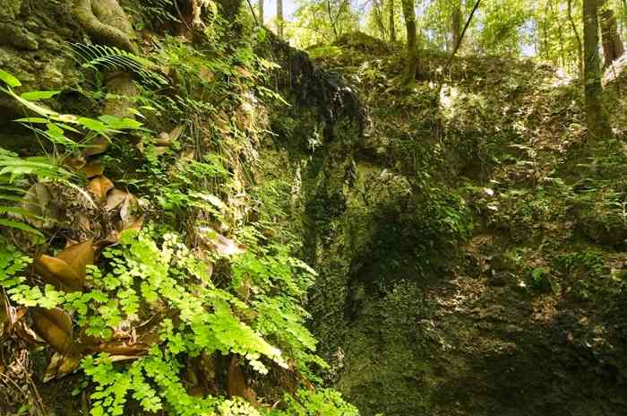 Falling Waters State Park Campground