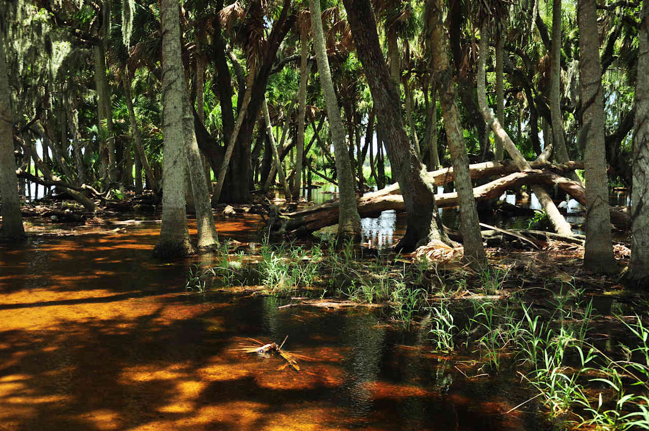 Palmetto Ridge Campground