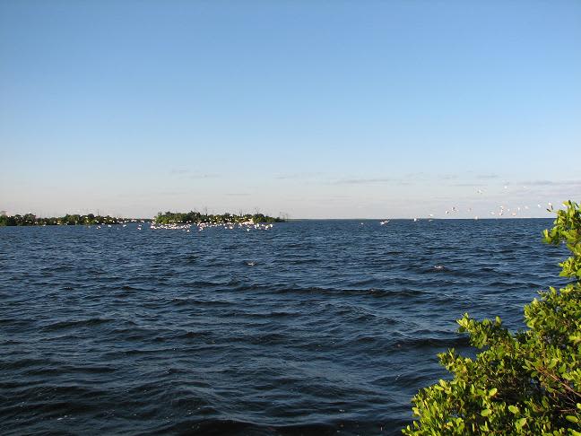 Elliott Key Campground