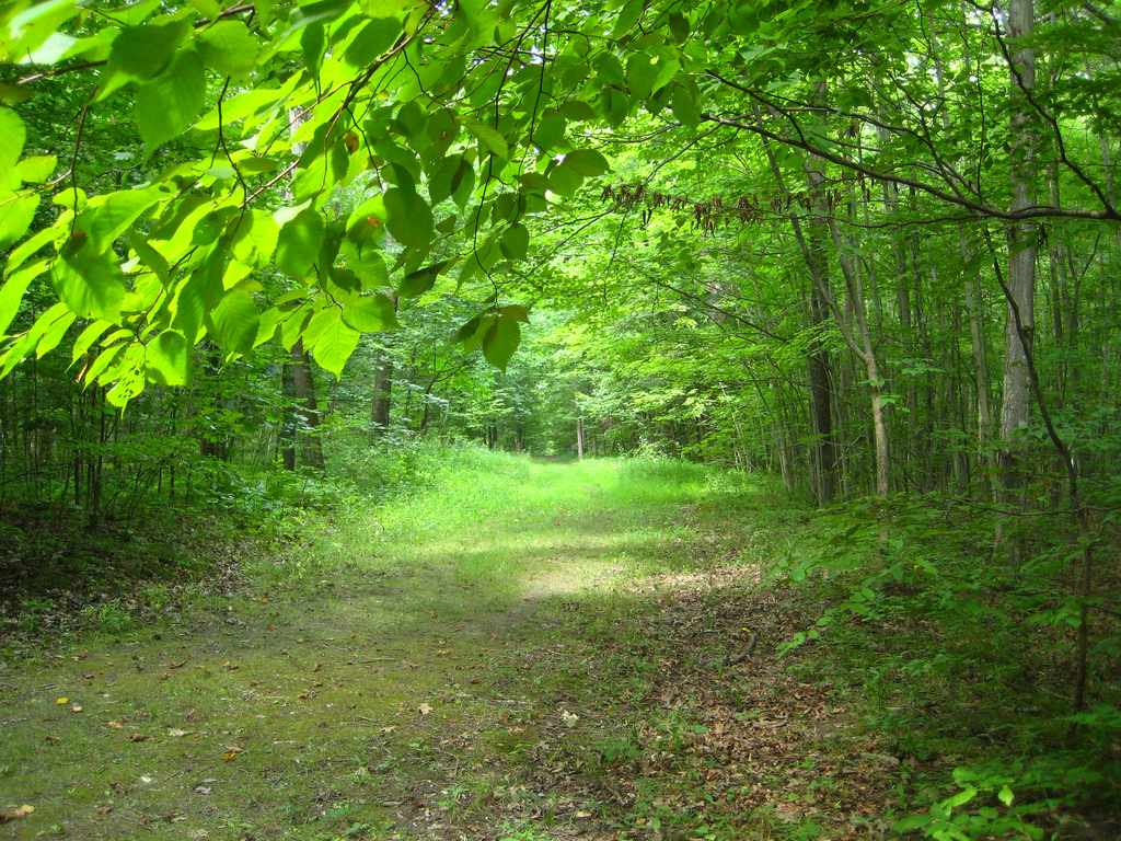 Twin Fawns Campground
