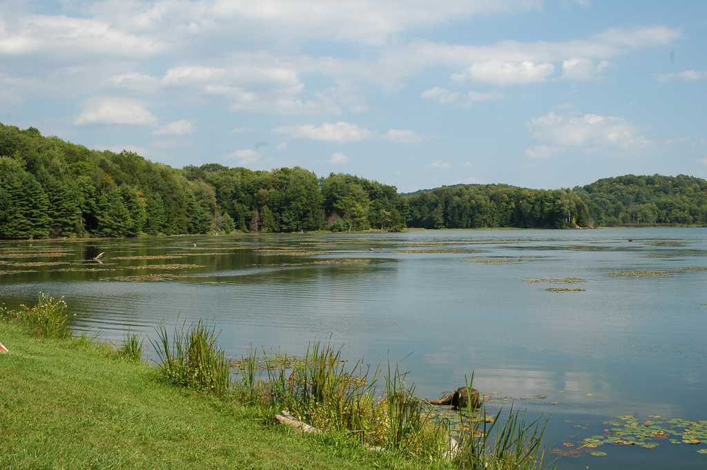 Hills Creek State Park Campground