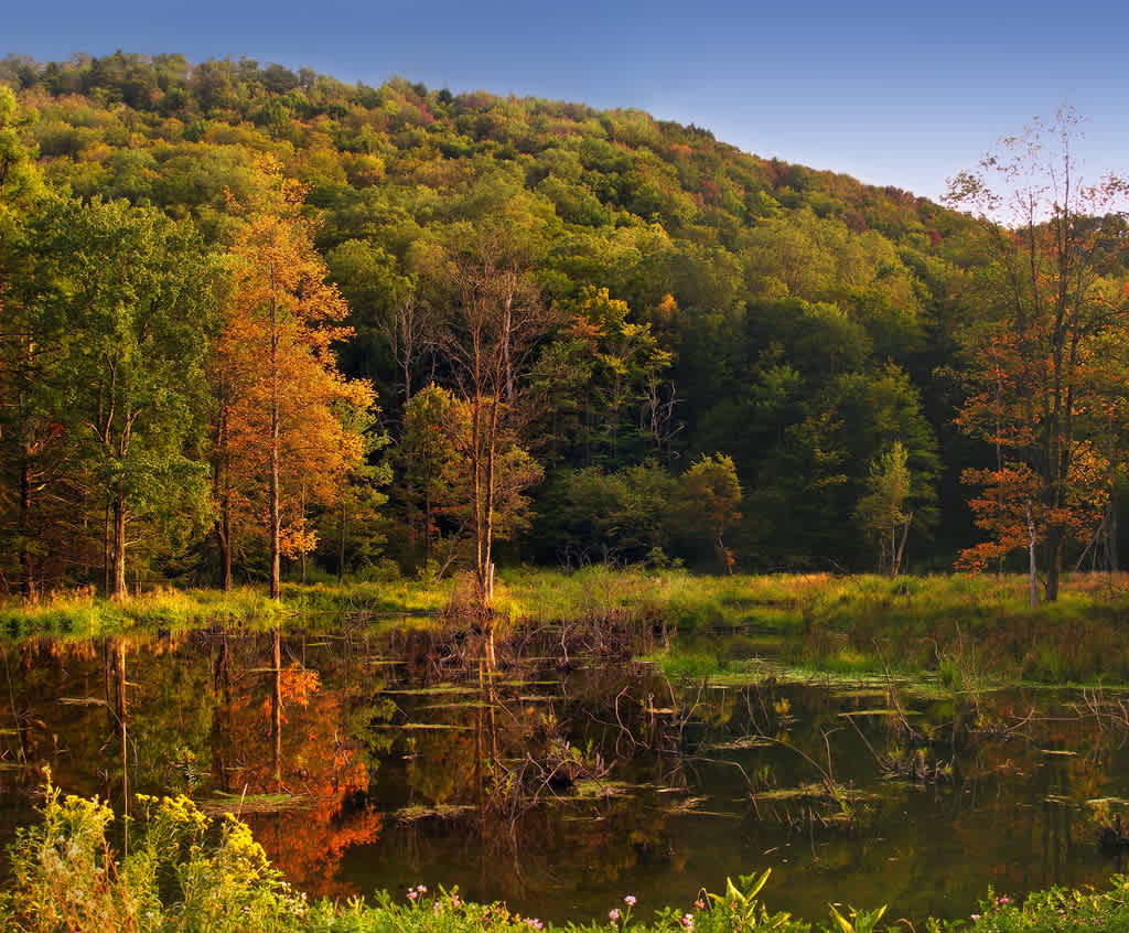 Daggett Run Campground