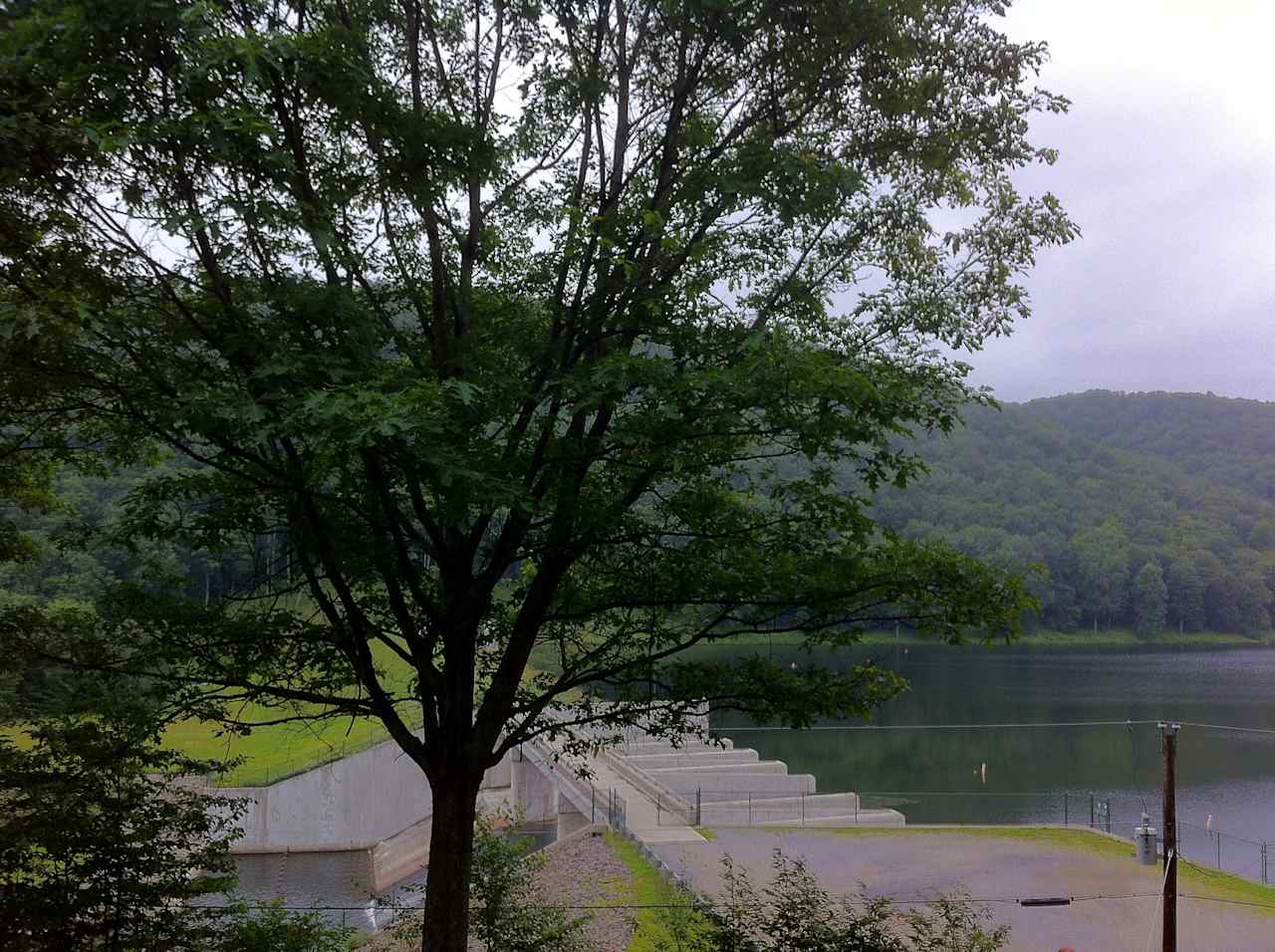 Lyman Run State Park Lower Campground