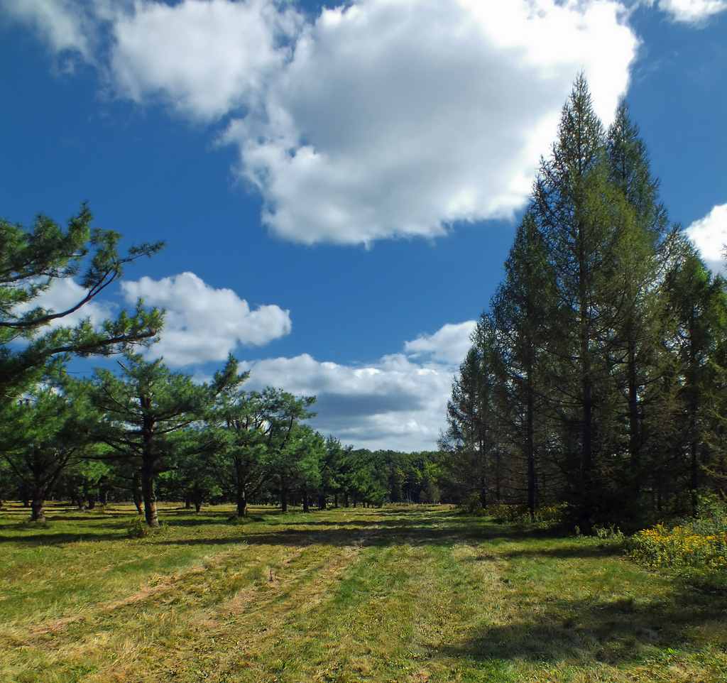 Simon B. Elliott Park Campground